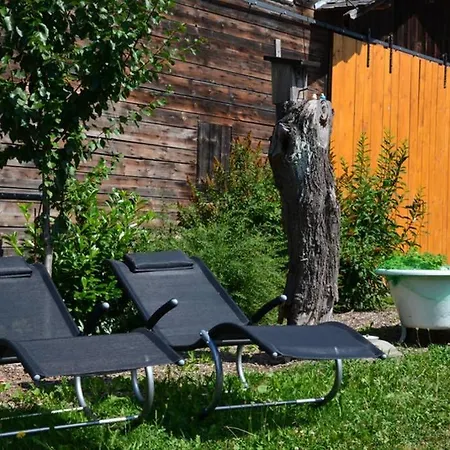 Waldzeit