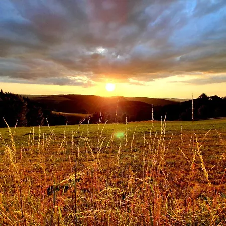 Waldzeit